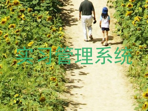 实习管理系统