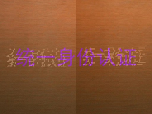 统一身份认证