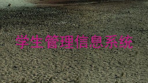 学生管理信息系统