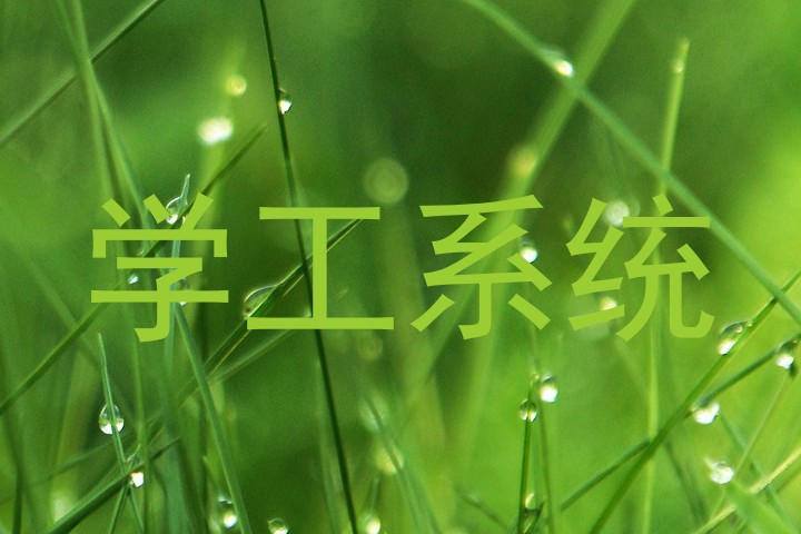 学工系统