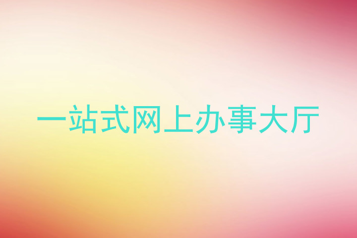 一站式网上办事大厅