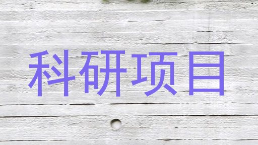 科研项目