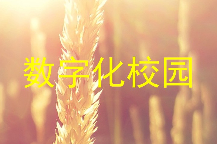 数字化校园