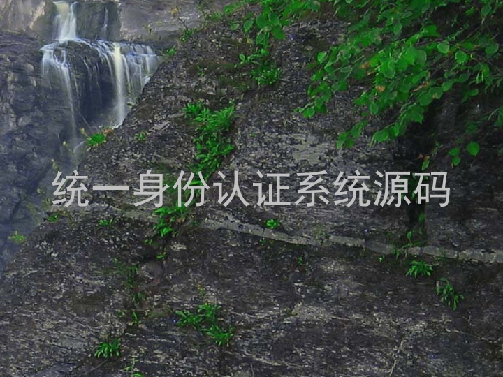 统一身份认证系统源码