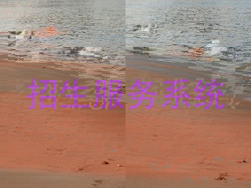 招生服務(wù)系統(tǒng)
