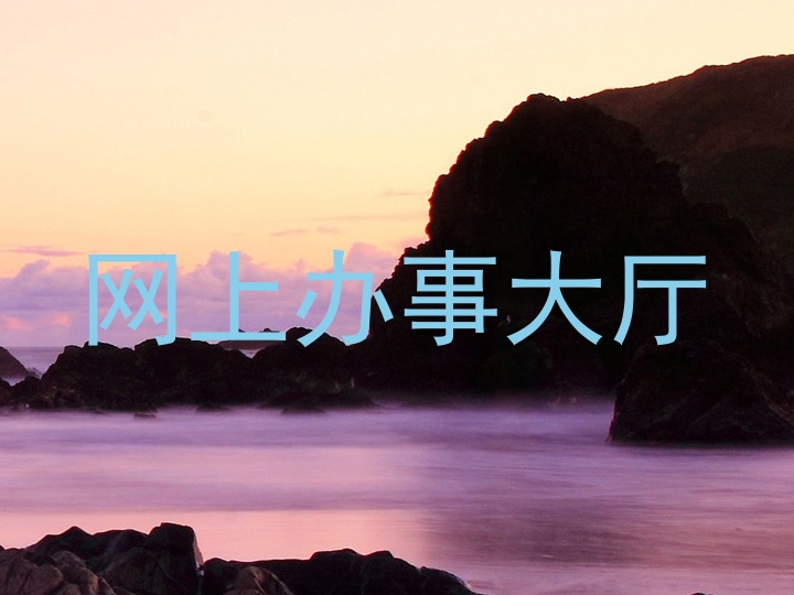 网上办事大厅