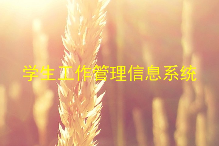 学生工作管理信息系统