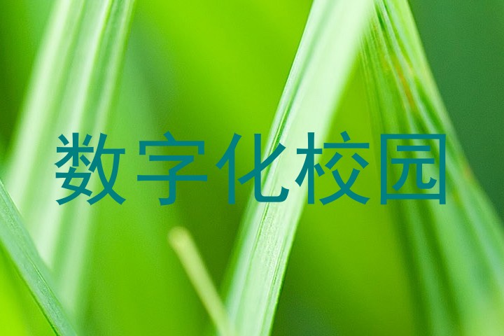 数字化校园