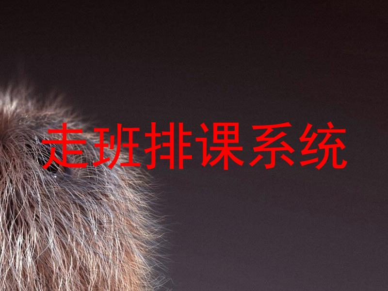 走班排课系统