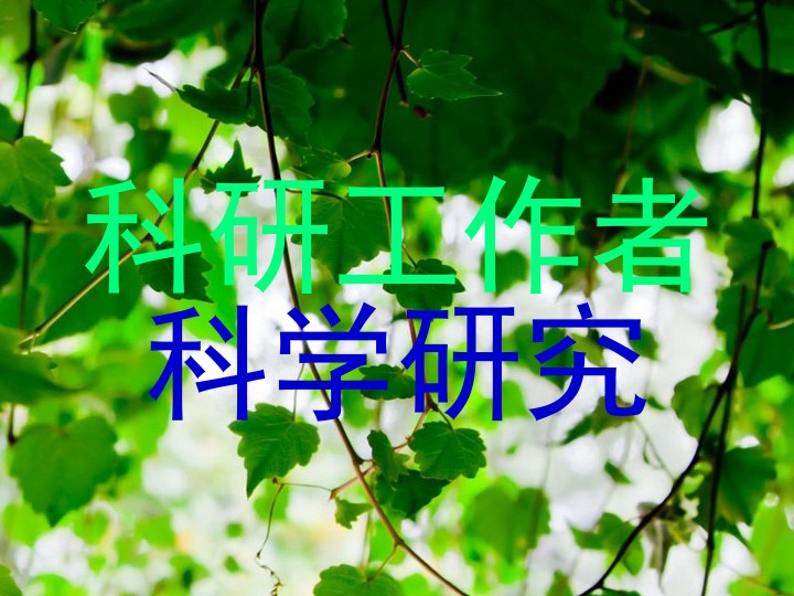 科研工作者