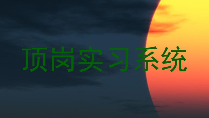 顶岗实习系统