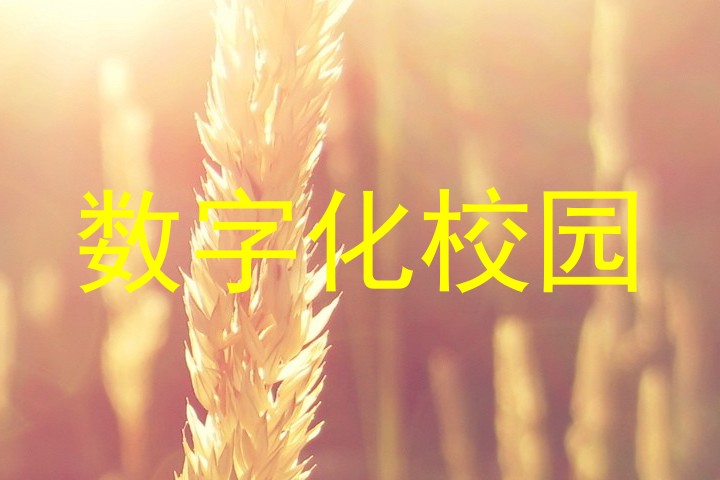 数字化校园
