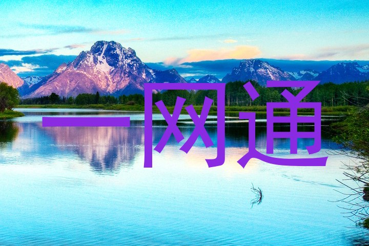 一网通