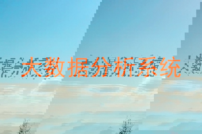 大数据分析系统