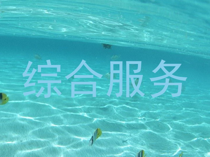 综合服务