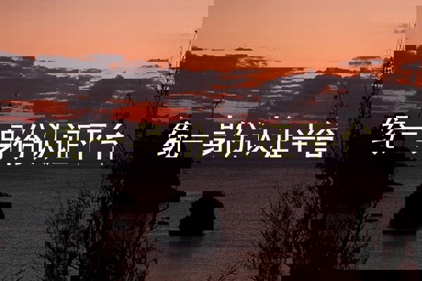 统一身份认证平台