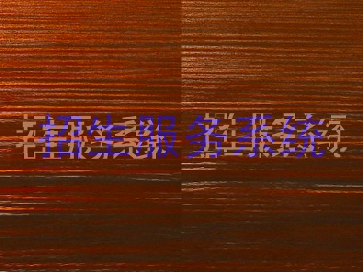 招生服务系统