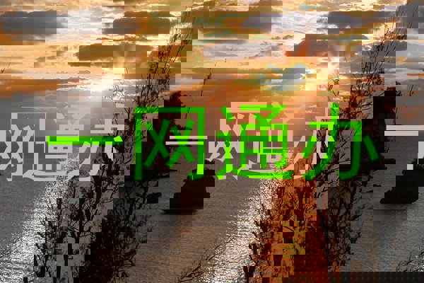 一网通办