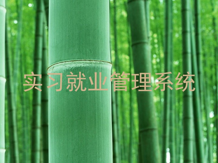 实习就业管理系统