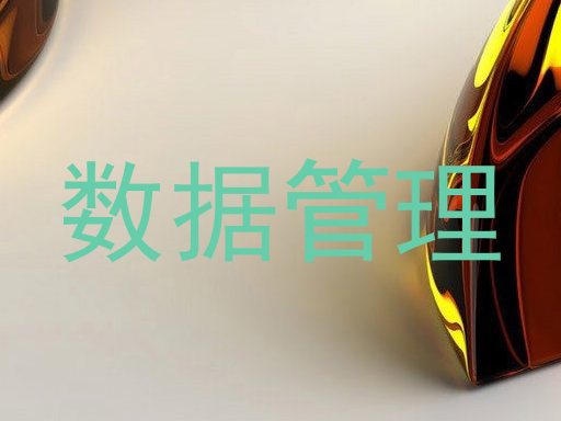 数据管理