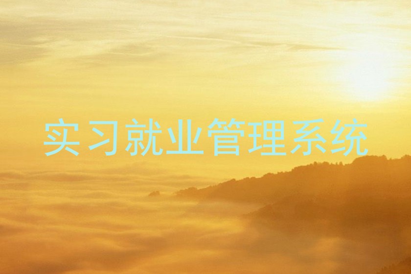 实习就业管理系统