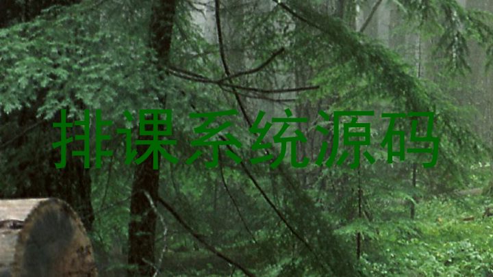 排课系统源码