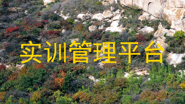 实训管理平台