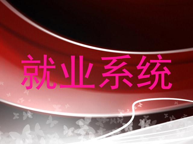 就业系统