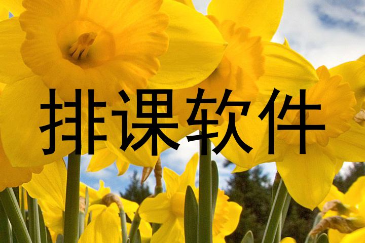 排课软件