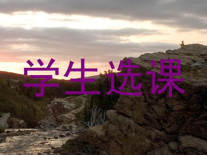 学生选课