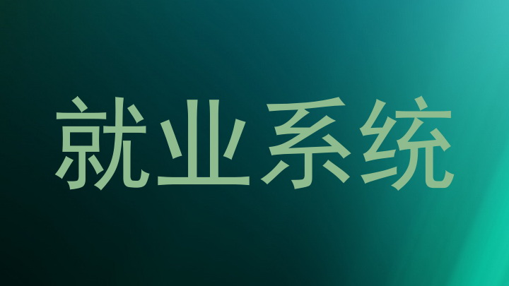 就业系统