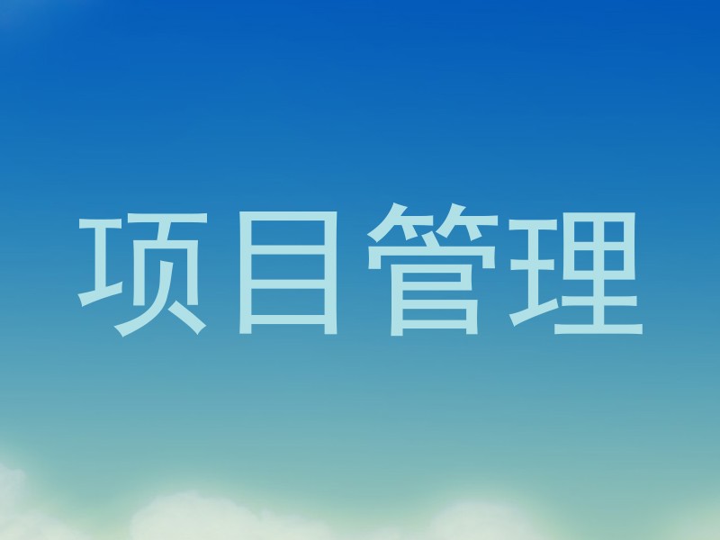 项目管理