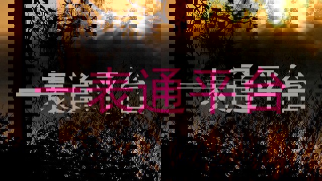 一表通平台