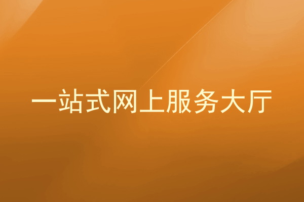 一站式网上服务大厅