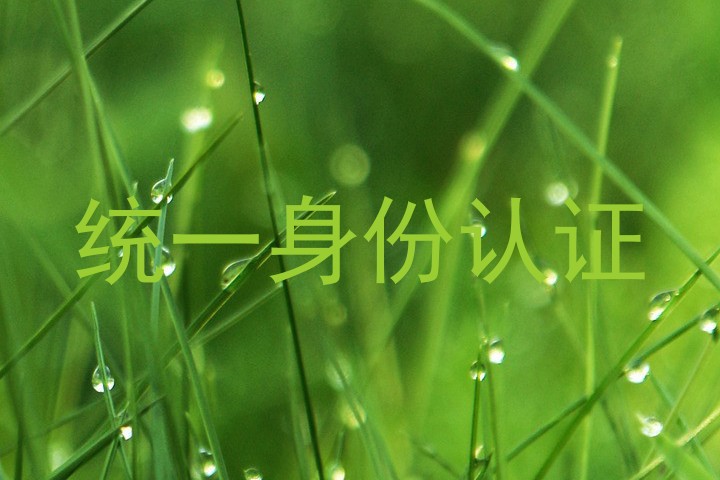 统一身份认证