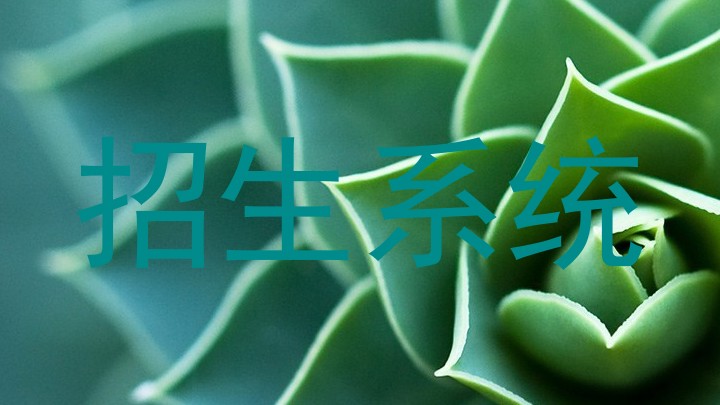 招生系統(tǒng)