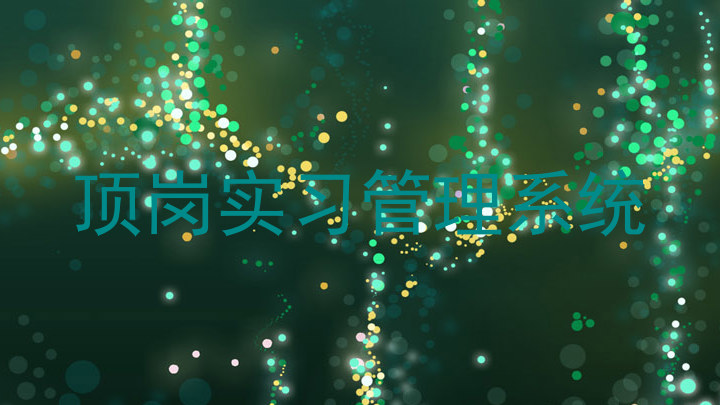 顶岗实习管理系统