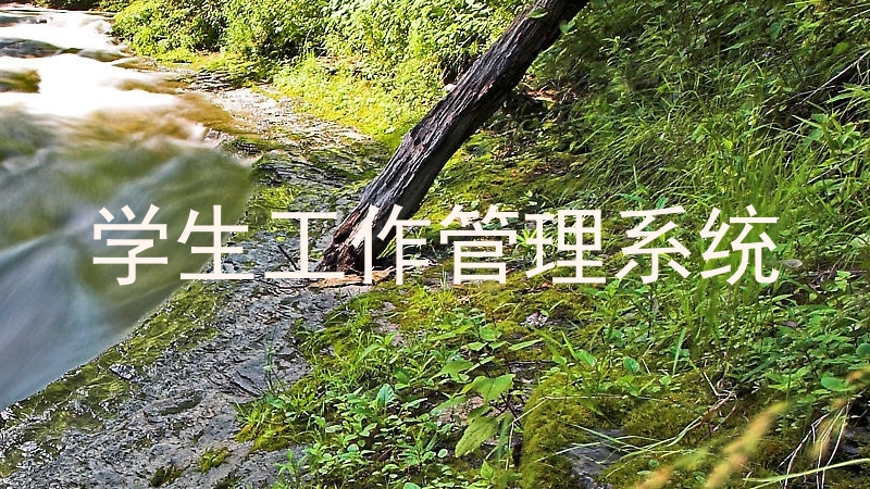 学生工作管理系统