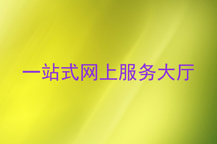一站式网上服务大厅