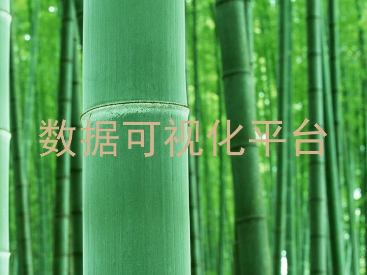 数据可视化平台