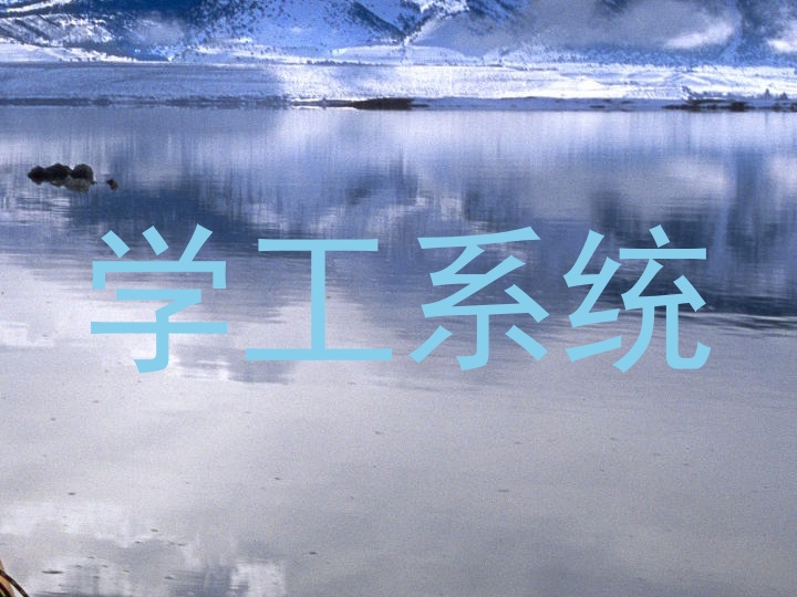 学工系统