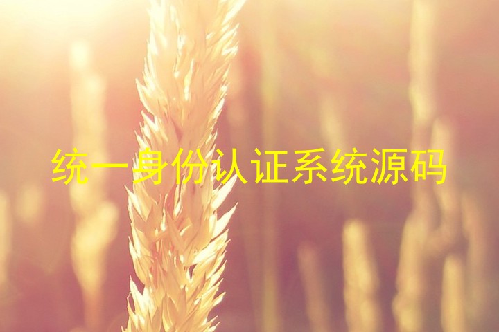 统一身份认证系统源码