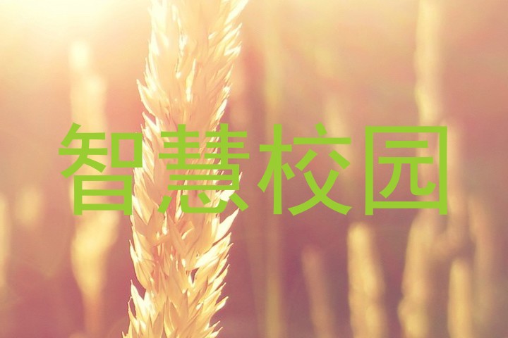 智慧校园