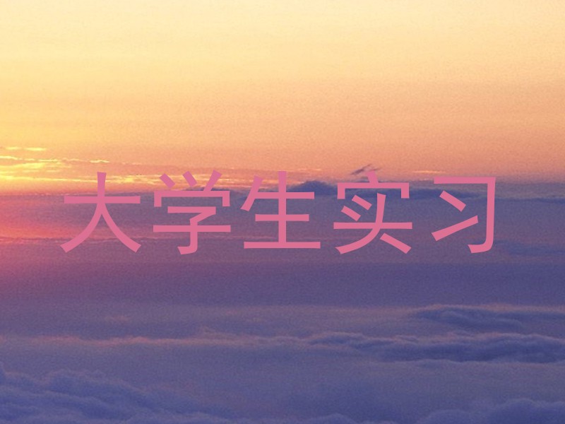 大学生实习