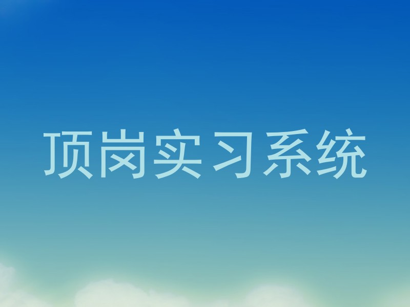 顶岗实习系统