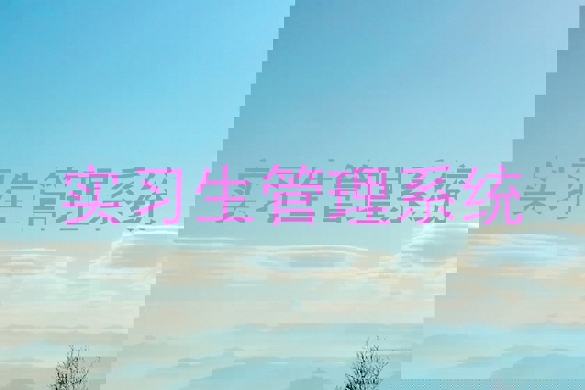 实习生管理系统