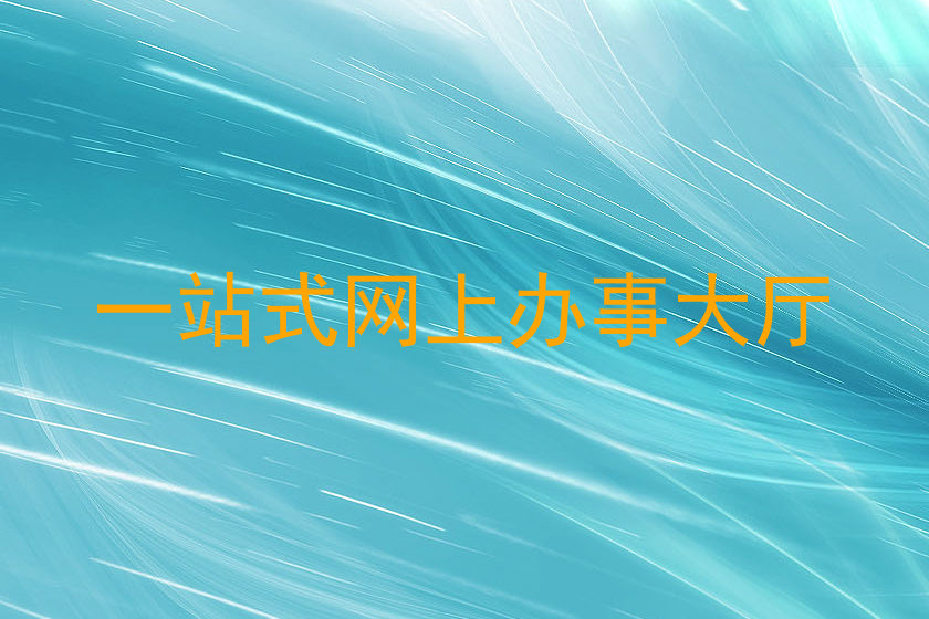 一站式网上办事大厅