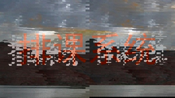 排课系统