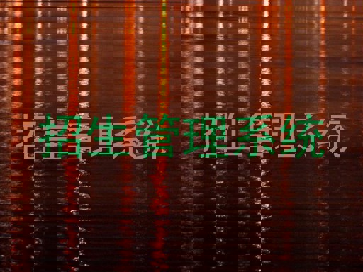 招生管理系統(tǒng)