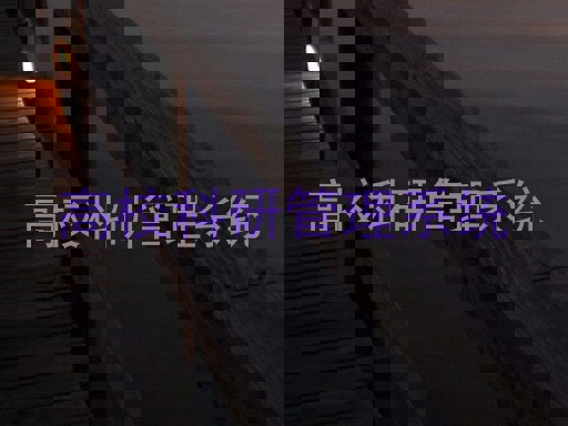 高校科研管理系统